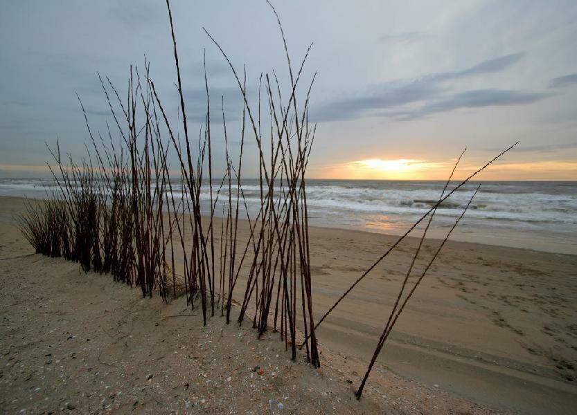 Pension 'T Hofje 350 Meter Van Het Strand Нордвейк-ан-Зее Экстерьер фото